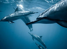 M6体育——开启你的极致运动体验