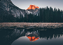 博鱼官网：开启你的线上娱乐新纪元